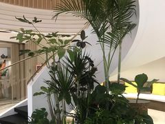 -美菲特健身(华贸店)