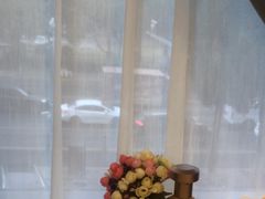 -一品粤珍轩(吴中路店)