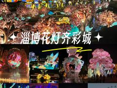-淄博花灯齐彩城