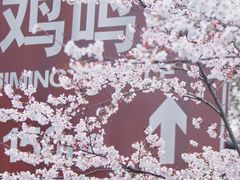-鸡鸣寺