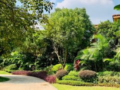 -碧桂园润杨溪谷温泉酒店