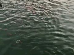 -前关湿地公园