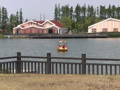 -上海长兴岛郊野公园