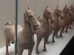-中国港口博物馆
