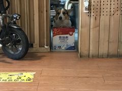 -维卡食舍(户部山店)