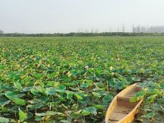 -天津东丽湖风景区