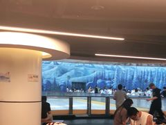 -世界之窗阿尔卑斯冰雪世界