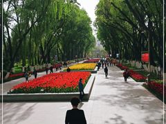 -西宁市人民公园(城西区)