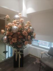 -海菲秀黑钻·SELF SKIN悦己·Tech SPA