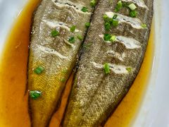 -食海部落
