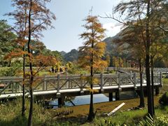 -广州市石门国家森林公园