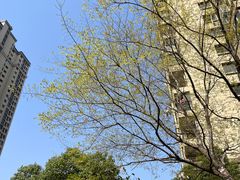 -武汉紫薇都市田园