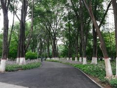 -西宁市人民公园(城西区)