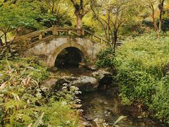 -中国茶叶博物馆(双峰馆区)