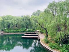 -百脉泉景区
