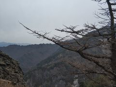 -吉林市朱雀山国家森林公园
