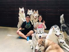 -TrueLove @ Neverland (Husky Cafe)