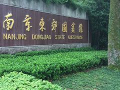 -南京东郊国宾馆