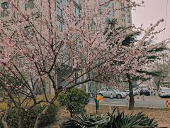-和平区健康主题公园