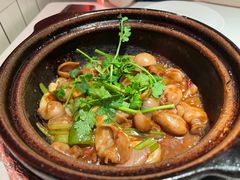 啫啫石斑鱼扣-煲煲好(朝阳门店)