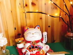 -猫在这儿猫咪咖啡馆·撸猫馆