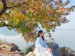 -东湖落雁景区