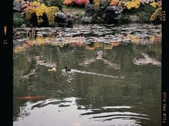-杭州植物园