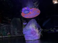 -左海海底世界