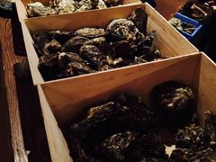 -斯普汇生蚝牛排馆(中骏世界城店)