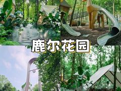 -老鼎万春卤菜(五代传承创始老店)