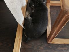 -仰生如卉推拿养生馆(酒仙桥店)