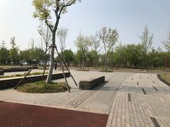 -南湖国家城市湿地公园