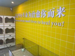 -神奇动物撸宠馆·羊驼·小浣熊·异宠(豫园店)