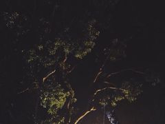 景点-圣约瑟夫大教堂