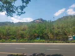-石老人观光园