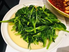 银杏豌豆尖-眉州东坡·熊猫主题餐厅(枫蓝店)