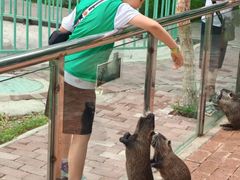 -水上乐园·欢乐世界