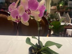 -金河半岛园林酒家(金融城店)