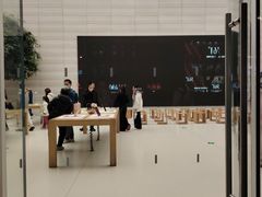 -Apple零售店(济南恒隆广场店)