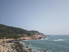 -广东惠东海龟国家级自然保护区