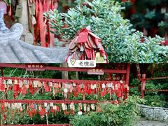 -茅山东方盐湖城景区