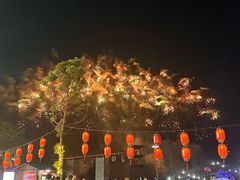 -花博汇(知音花月夜)