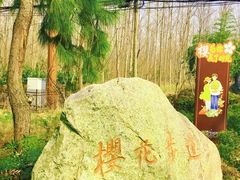 -合肥滨湖国家森林公园