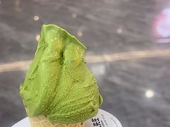 -野人先生现做冰淇淋(西安赛格店)