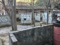 -东湖小天池真人CS彩弹野战基地