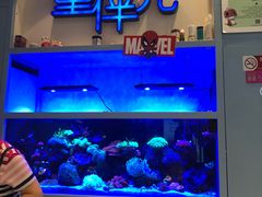-KIDults童伴儿亲子餐厅(达美中心广场店)
