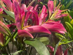 -山东嘉汇文化用品有限公司张店凤凰国际分公司(新村西路店)