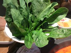 菠菜-井格重庆火锅(临平银泰城店)
