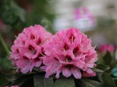 -名花谷生态庄园