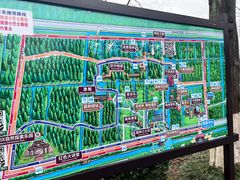 -黄海国家森林公园